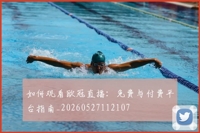 如何观看欧冠直播：免费与付费平台指南_20260527112107